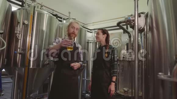 酿酒工人看着玻璃管里刚做的啤酒讨论着它男女啤酒制造商在视频的预览图