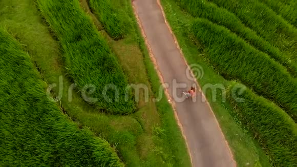 一名年轻女子和她的儿子在巴厘岛上沿着美丽的水稻梯田散步的空中拍摄医生跟踪他们视频的预览图