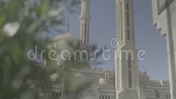 沙姆沙伊赫清真寺埃及视频的预览图
