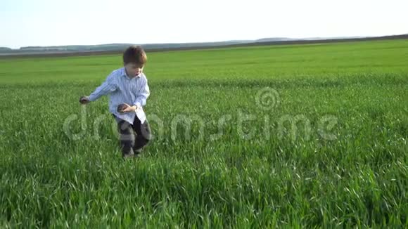 小男孩在田野上散步摸着绿色的小麦孩子的手摸小麦收获概念收获概念视频的预览图
