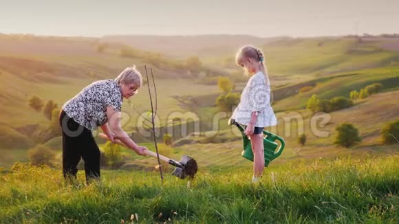 老妇人和孙女一起种了一棵树以美丽的绿色景观为背景视频的预览图