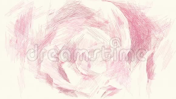 粉红色玫瑰花的绘画颜色视频的预览图