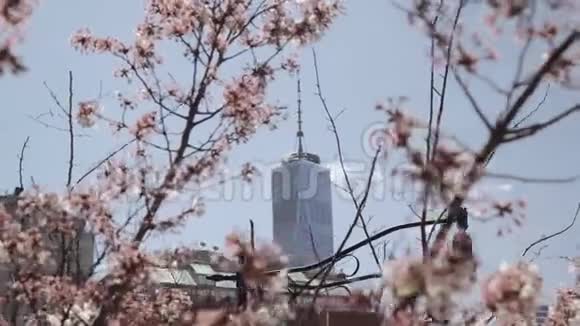 一个世界贸易中心在美国纽约的Tribecca拍摄了春天盛开的樱花树视频的预览图
