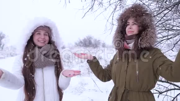 喜欢冬天笑的朋友用雪门摇动树枝视频的预览图