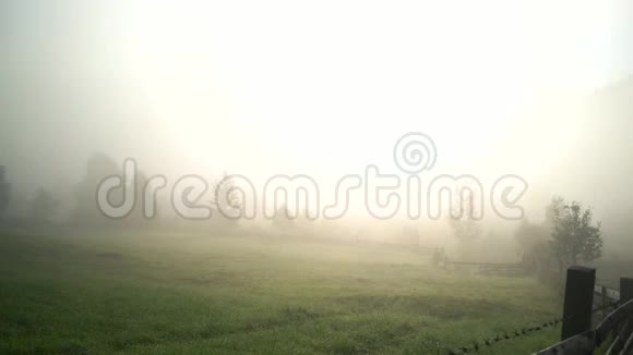夏天喀尔巴阡村的雾状早晨视频的预览图