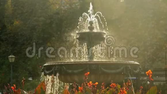 城市公园美丽的喷泉巴洛克建筑维也纳太阳视频的预览图