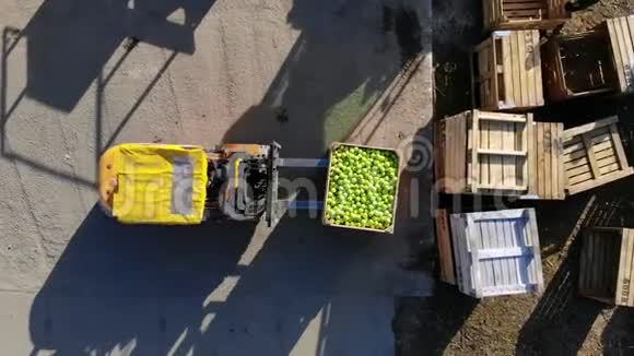 收获苹果小装载机叉车机器负载把装满青苹果的大木箱放在上面视频的预览图