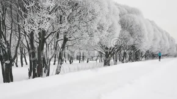 冬天白雪覆盖的树木背景下一个运动的孤独女孩奔跑视频的预览图