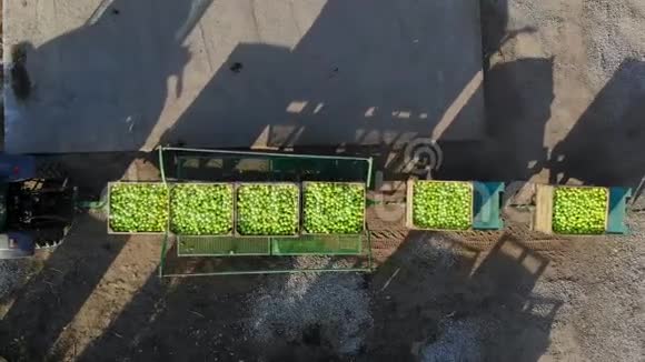 新鲜采摘的苹果在农场收获小型装载机叉车机器卸货和装载放置大型木箱视频的预览图