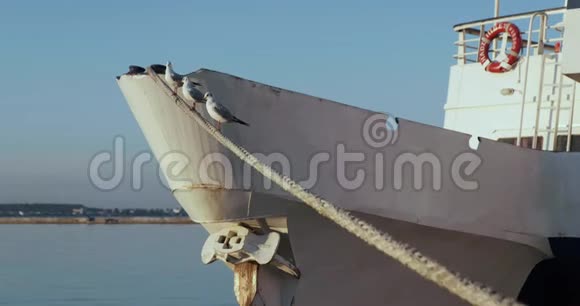 三只海鸥坐在绳子上船站在码头附近船在波浪中摇摆视频的预览图