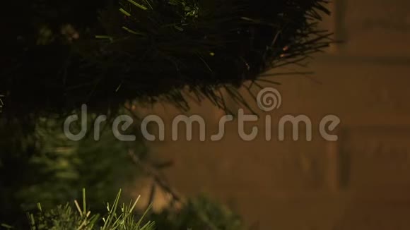 儿童挂在圣诞树上节日装饰特写视频的预览图