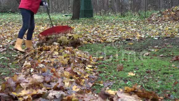 从后院的秋叶上耙出女人的变焦4K视频的预览图