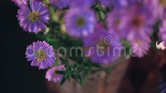 紫罗兰花束视频的预览图