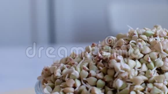 把绿荞麦放在碗里一次宏观射击生荞麦荞麦芽中的有用食物用于素食视频的预览图