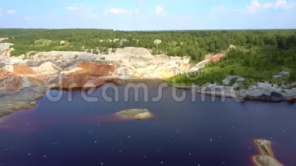 鸟儿在湖上飞翔在古老的粘土坑上在森林中飞翔视频的预览图