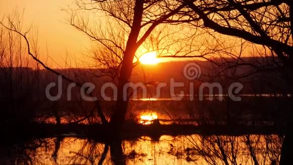 美丽的橙色日落因为巨大的太阳落山到地平线以上的河流视频的预览图