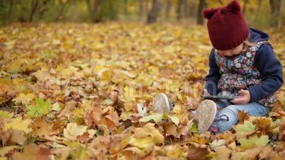 女孩坐在秋天的黄叶里带着电话视频的预览图