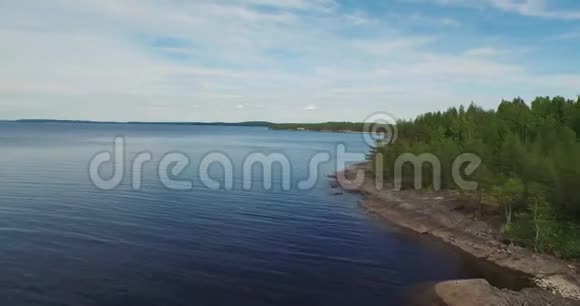 空中运动沿空湖岸覆盖森林视频的预览图