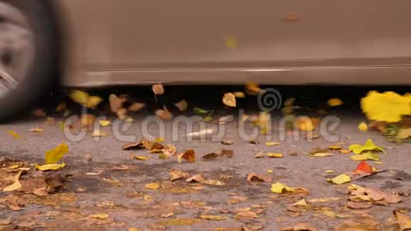 秋天落叶黄橙色的汽车在路上行驶视频的预览图