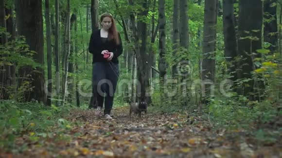 那个女孩带着两只小狗在树林里散步视频的预览图