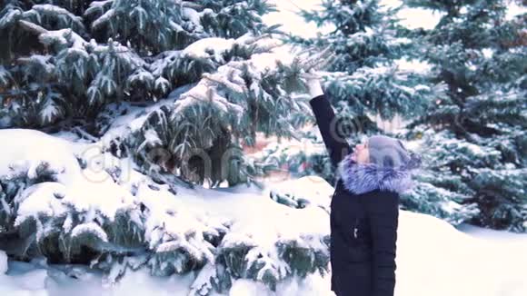 冬天慢动作雪从树上慢慢落下一个女孩触摸树枝雪落下来视频的预览图