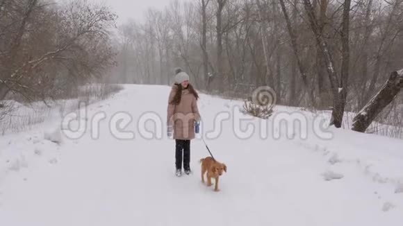 美丽的女孩和狗一起散步走在白雪覆盖的道路上在暴风雪中在冬天视频的预览图