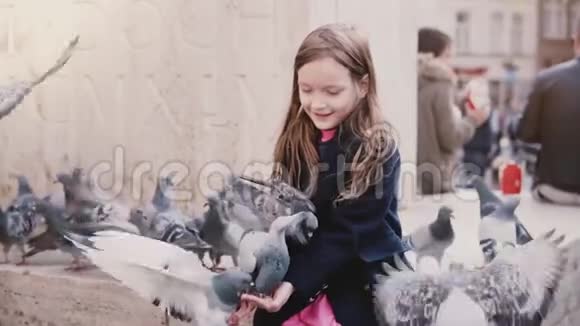 小白种人女孩喂几只鸽子慢动作快乐的女孩子把种子给了她手中的城市鸟视频的预览图
