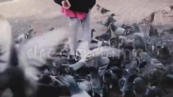 小欧洲女孩被鸟包围着慢动作兴奋可爱的女孩子看着大群鸽子城市广场视频的预览图
