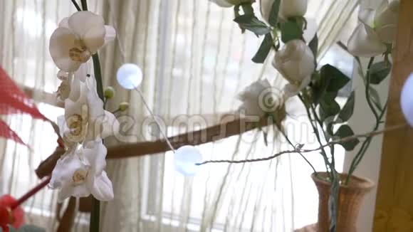 有白色窗帘和花的窗户4k视频的预览图