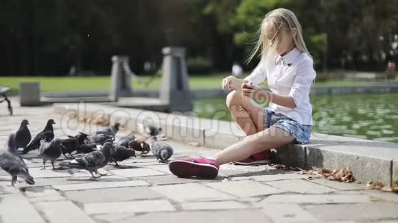 快乐的女孩在公园里喂鸽子视频的预览图