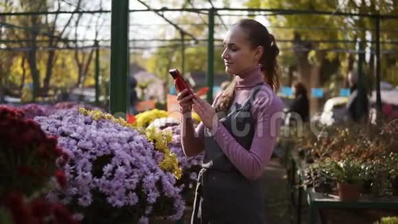 年轻的女园丁用智能手机在温室里给菊花拍照视频的预览图