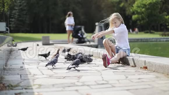 可爱的金发女郎在公园里喂鸟面包视频的预览图