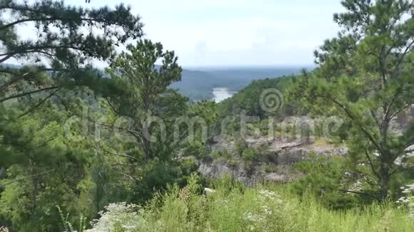 乔治亚州卡特湖从卡特湖上方俯瞰的山谷中缩小视频的预览图