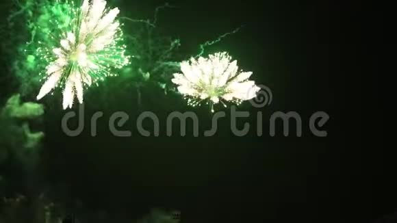夜空上美丽的烟花花节日活动伴随着节日沙龙假日放松时间与烟火表演视频的预览图
