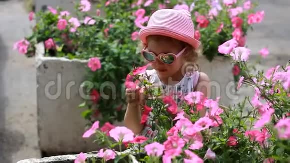 戴着粉红色眼镜和帽子的小女孩嗅着牵牛花的香气夏天的概念快乐爱视频的预览图