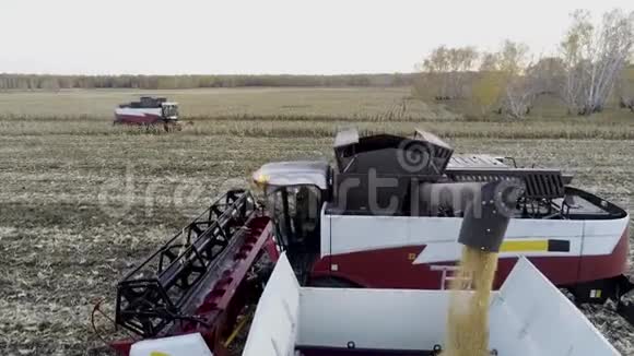 在田间卸载玉米收获和运输视频的预览图