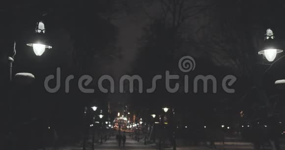 冬天公园里的夜晚小巷有漂亮的灯笼和长凳视频的预览图