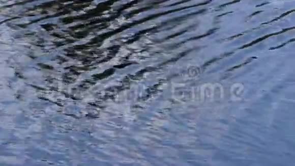 纹理背景流动的河流视频的预览图