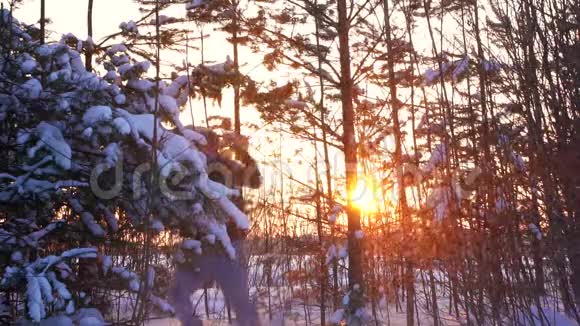 日落时分冬林男子拳击视频的预览图
