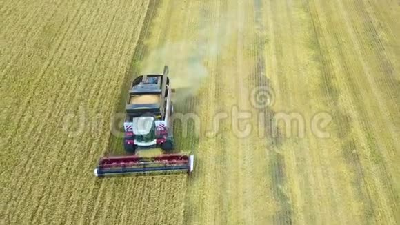 在田野农业空中景色中工作的科摩罗人视频的预览图