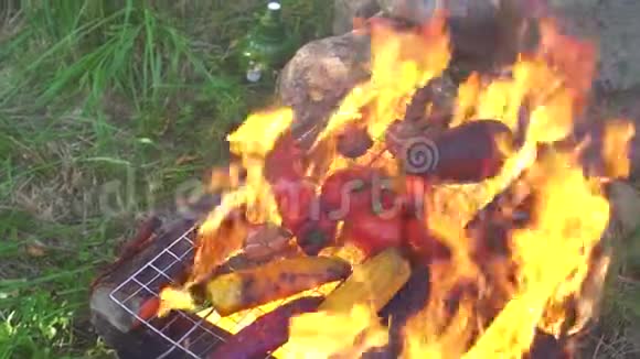 蔬菜在烤架上的火中煮熟特写慢动作视频的预览图