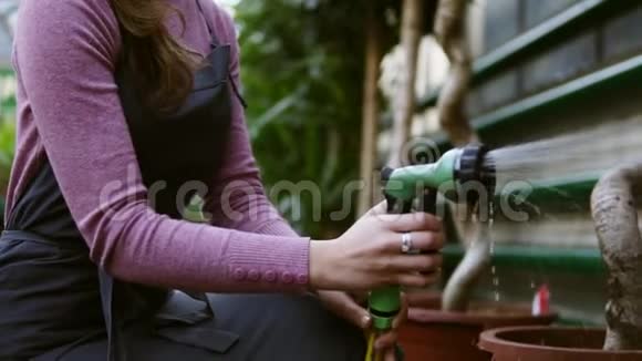 在温室里用花园软管浇灌树木的年轻漂亮的女园丁的特写镜头慢动作视频的预览图