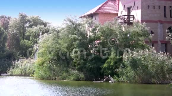 池塘和城堡视频的预览图