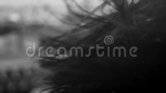 一个漂亮女孩在刮风的日子里慢镜头视频的预览图
