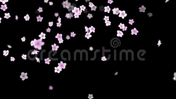 粉红色浪漫飘落的樱花花瓣用阿尔法通道加载4K运动春花图形视频的预览图