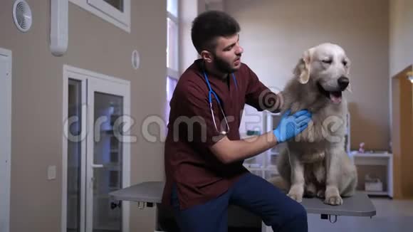 在诊所里用宠物抚摸病人和狗说话视频的预览图
