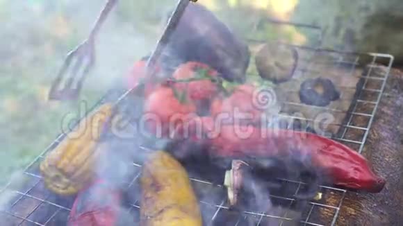 烤架上的蔬菜在户外做饭视频的预览图
