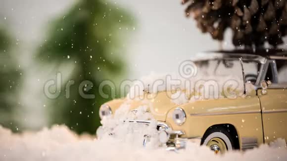 屋顶上有冷杉锥和降雪相结合的模型车视频的预览图