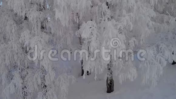 攀登冬季森林上空的高度视频的预览图