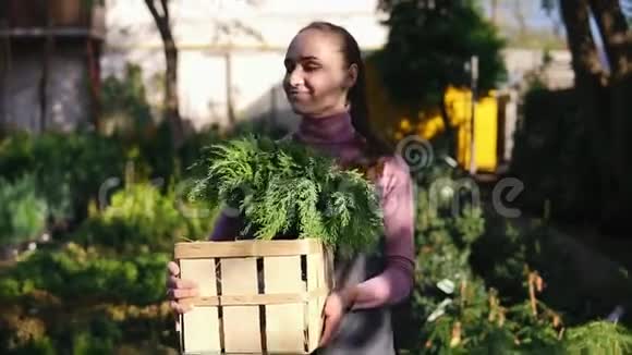 年轻漂亮的女花店走在鲜花店或市场上的一排排不同的植物之间手里拿着一根木头视频的预览图